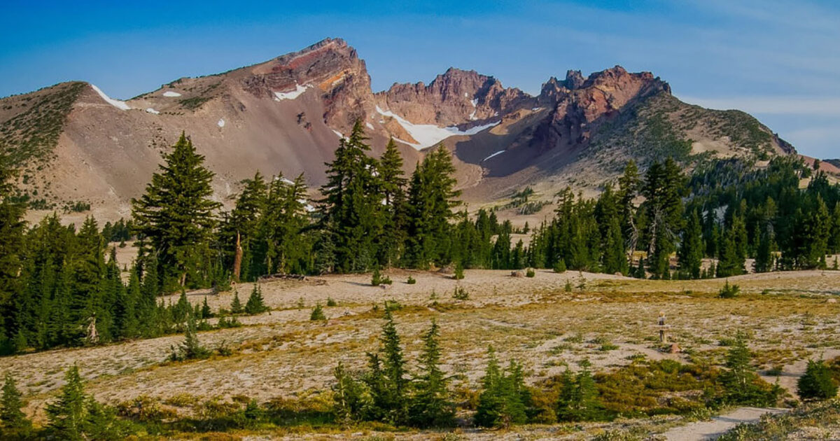 Mountain landscape with pine forest and snow patches